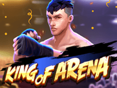 King Of Arena screenshot